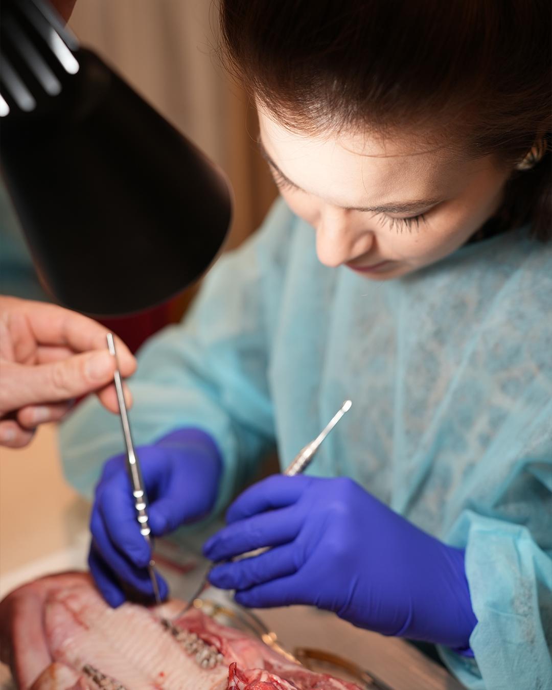 Chirurgie mucogingivala