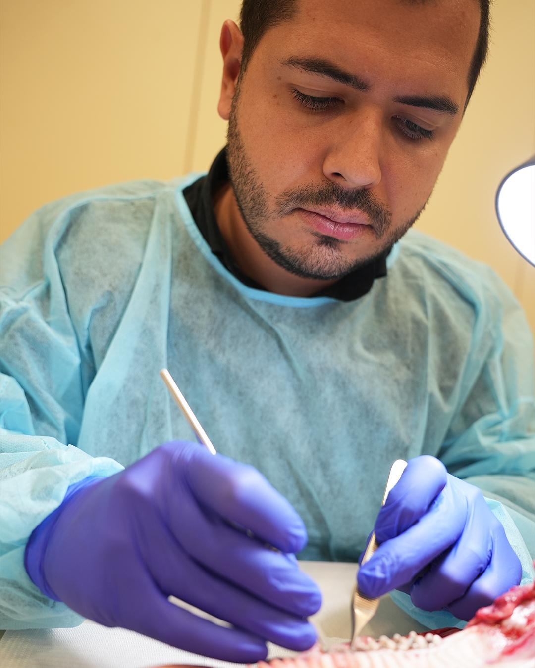 Chirurgie mucogingivala